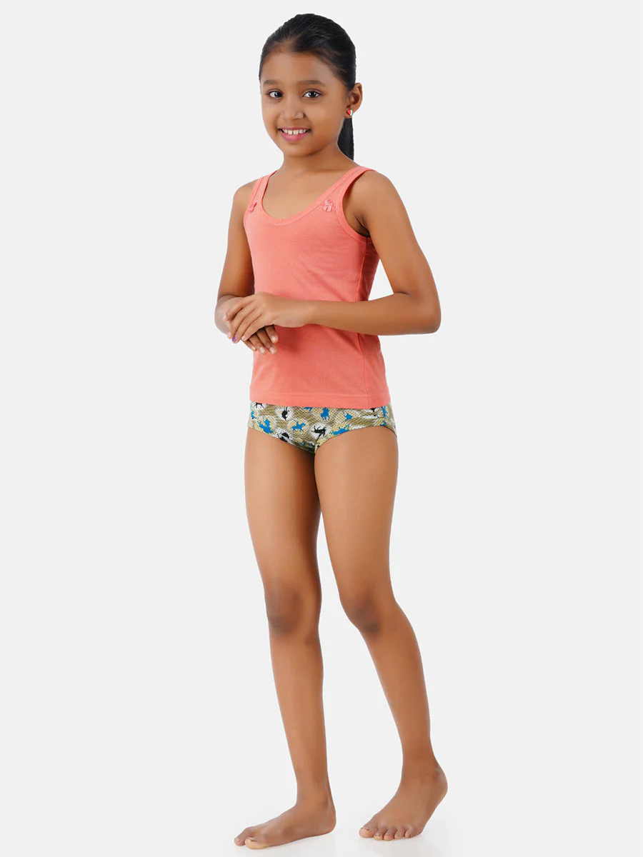 Girl's Assoretd Colour Printed Lutty Panties (4 PCs Pack) - Image 5