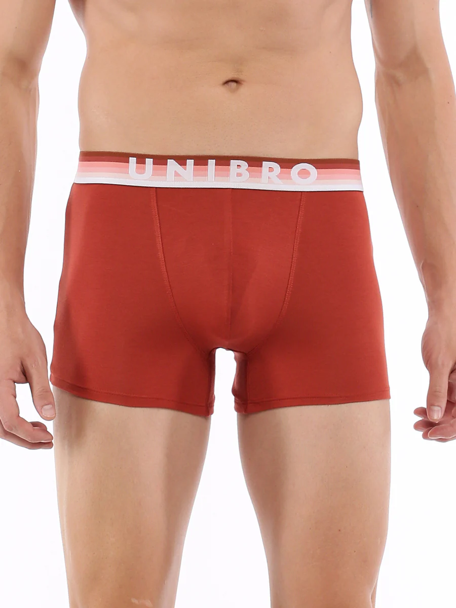 TENCEL™ Modal Fiber Outer Elastic Assorted colour Trunk - Image 6