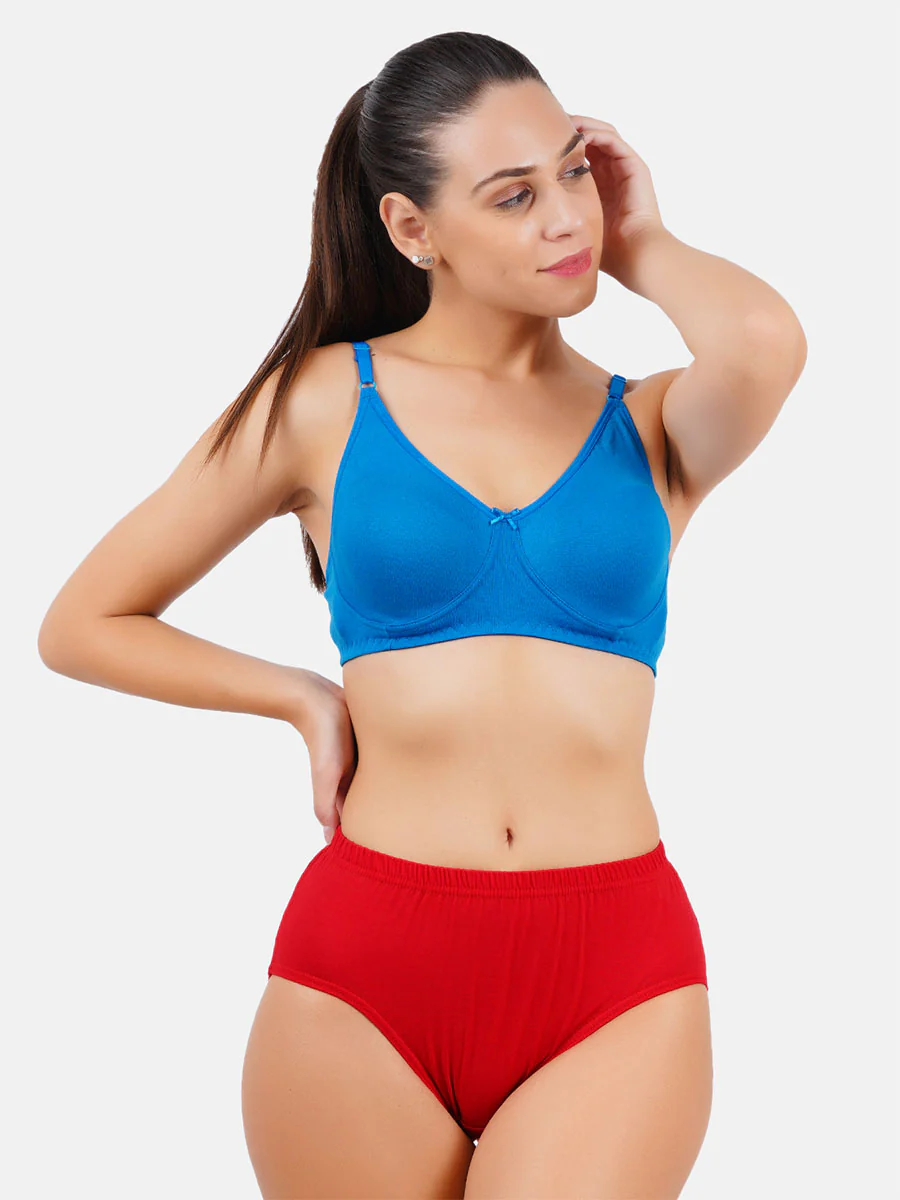 Women 100% Combed Cotton Assorted Plain Panties Teekay (3 Pcs pack) - Image 2