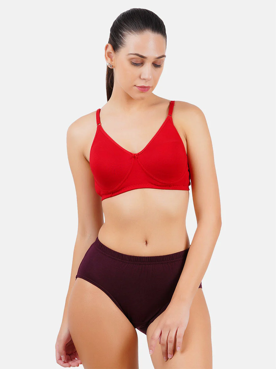 Women 100% Combed Cotton Assorted Plus Size Plain Panties Teekay (3 Pcs pack) - Image 3