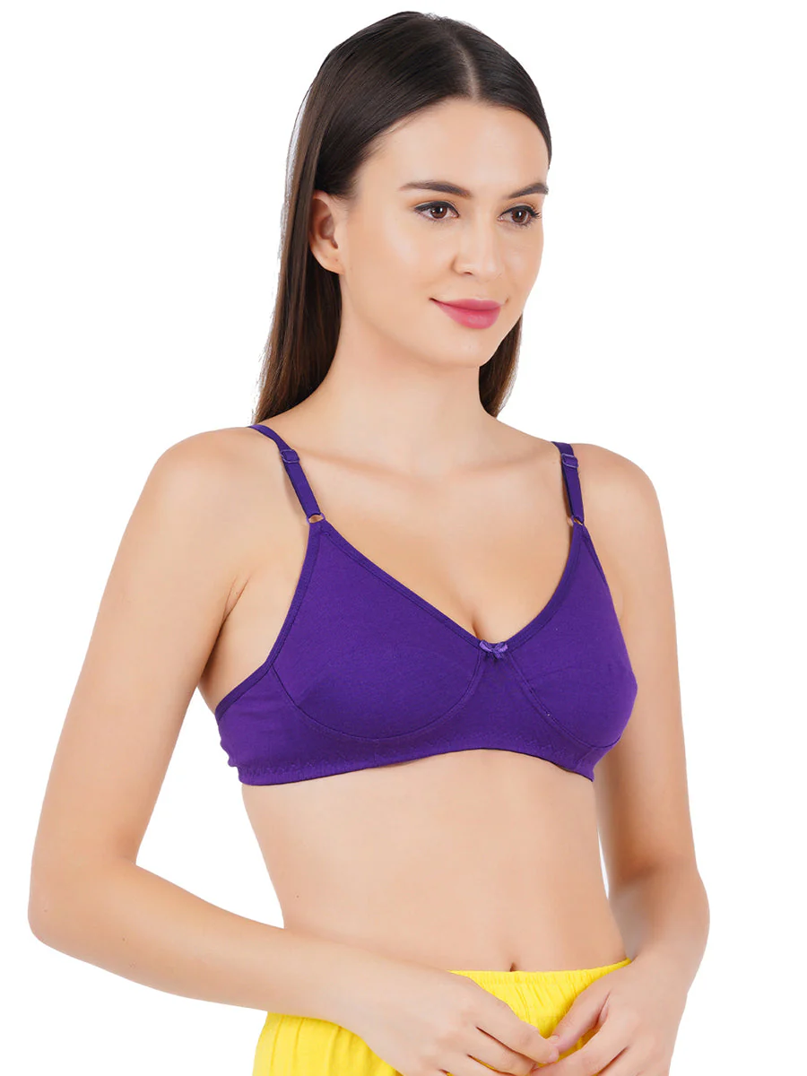 Women Pure Cotton Comfort& Adjustable Modern Regular Braze-Pack of 2 - Image 3